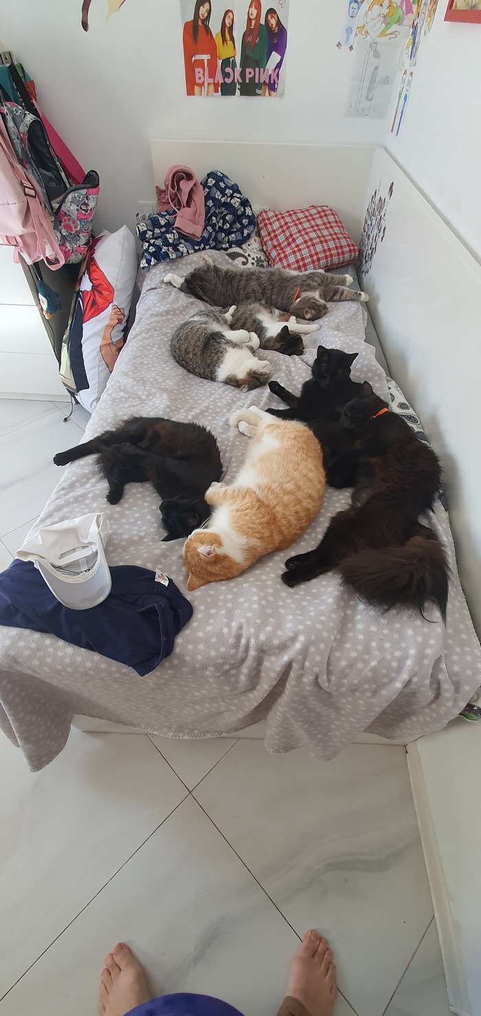 Одним махом семерых!