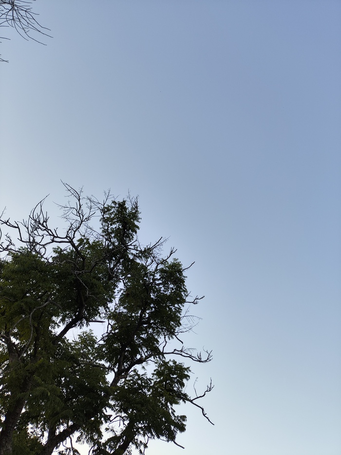 Просто фото