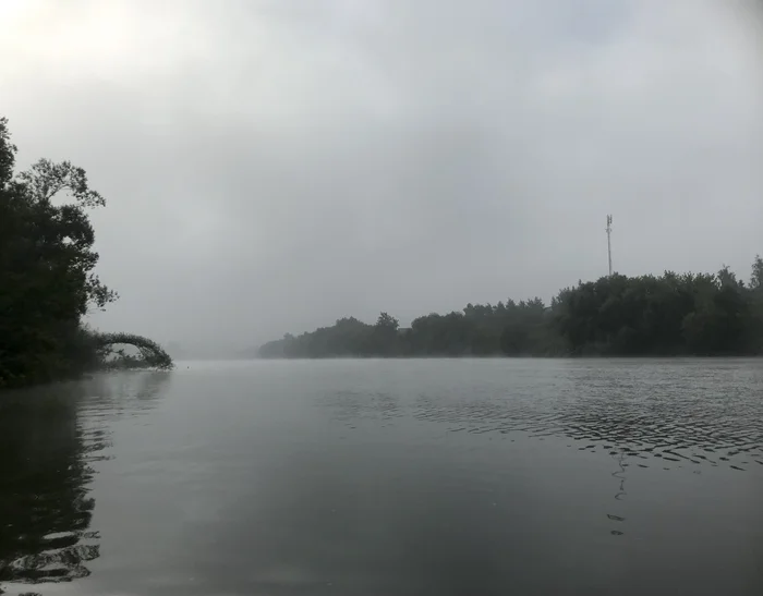 Foggy morning, gray morning - My, Fishing, A boat, Longpost, fly fishing