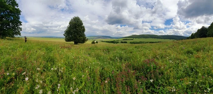 Waist-deep grass - My, Bashkortostan, Travel across Russia, Meadow, Summer, Tourism, Horseback riding, Southern Urals, Ural, Zilim