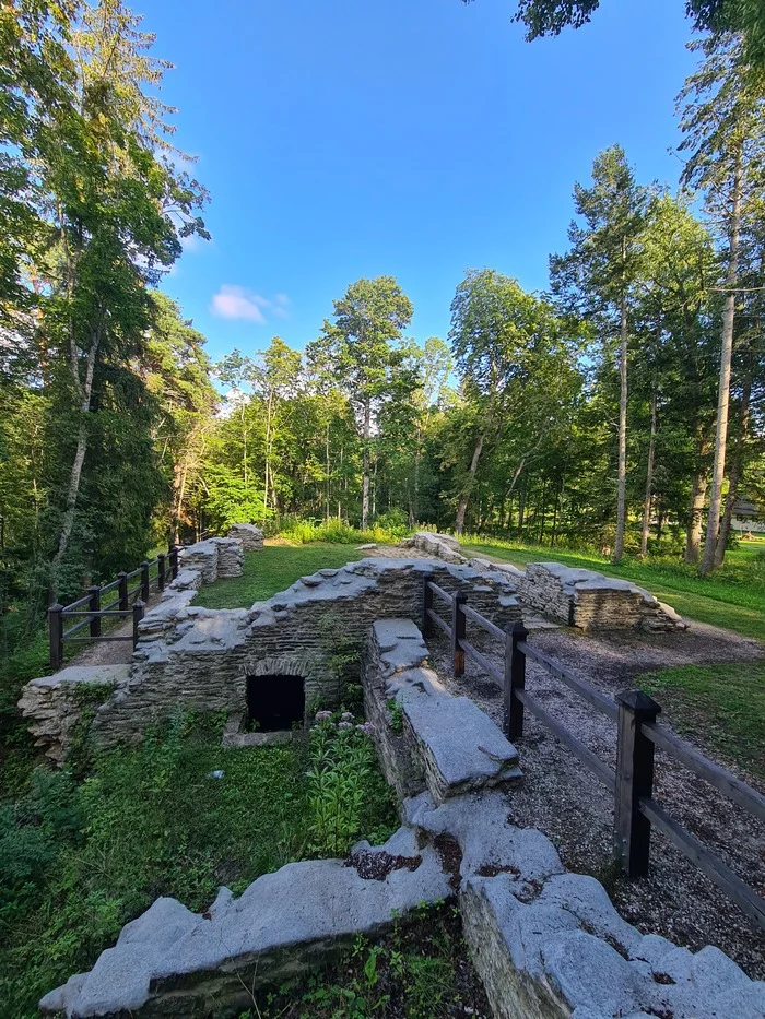 Walk to the waterfall - My, The photo, Nature, Estonia, Waterfall, Longpost