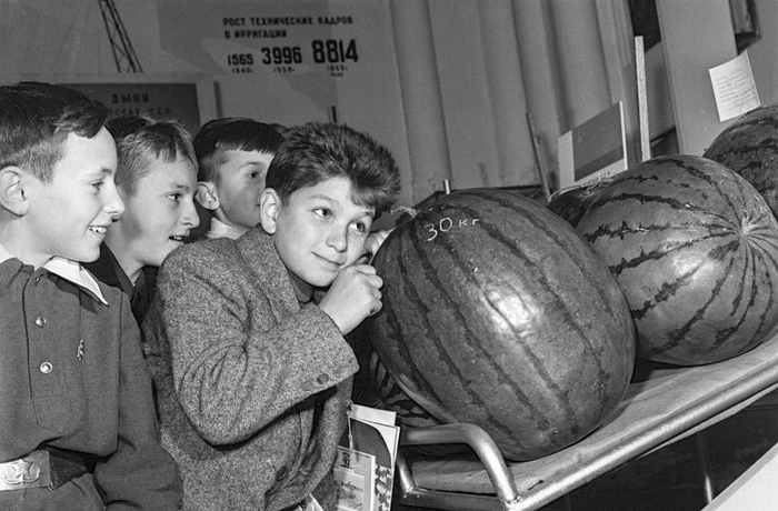 � ���� ������)))