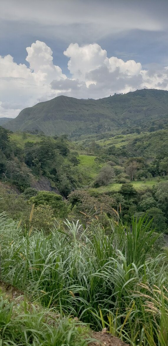 Solo cycling expedition across South America. Part 1 Colombia. Chapter 31. La Sierra - My, A bike, Travels, Solo travel, Bike trip, South America, Bike ride, Colombia, Road, The mountains, Andes, Longpost