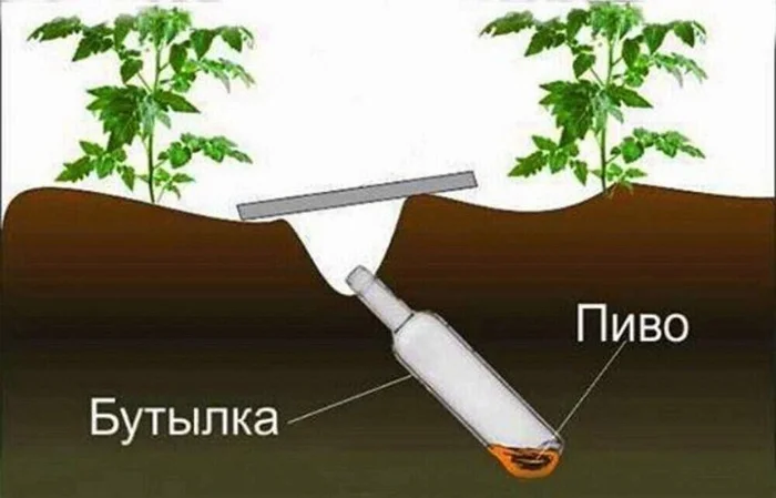 Как наловить медведку - Рыба, Рыбалка, Лодка, Аквариумистика, Вертикальное видео, Охота, Река, Аквариум, Водоем, Морские обитатели