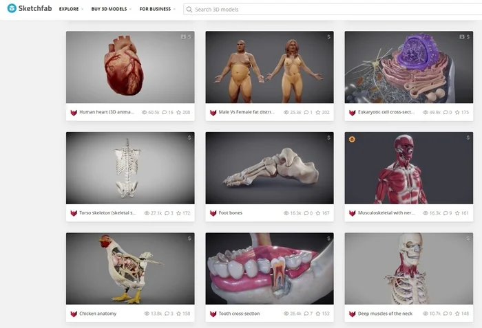 Free 3D models on biology and more - My, 3D modeling, Education, Biology, The science, Video, Video VK, Longpost