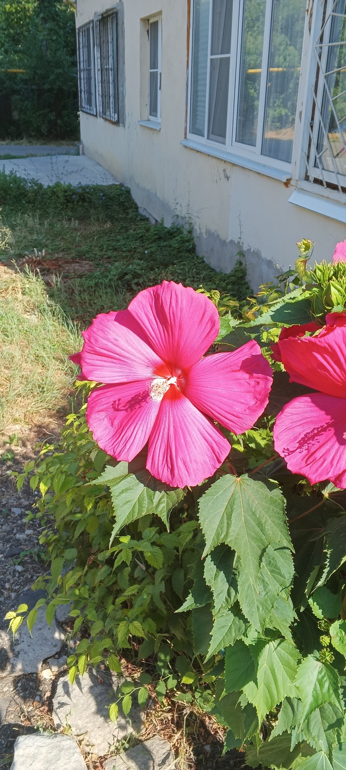 ��� �� ��������?