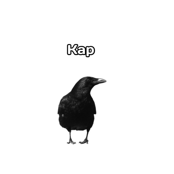      ,   , , , , 