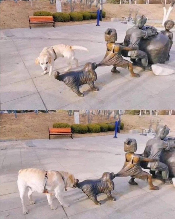 Не смог пройти мимо и решил помочь