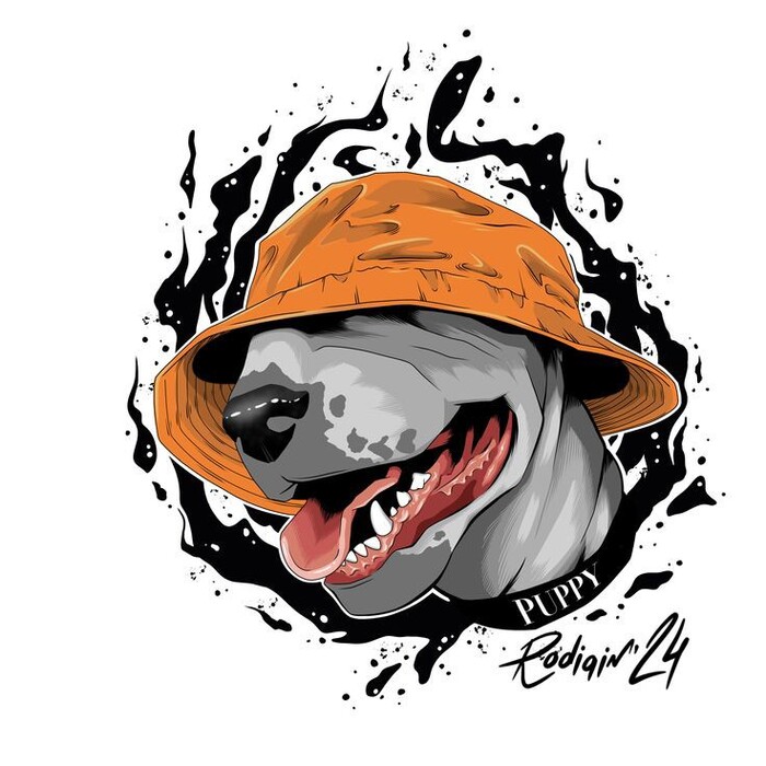 ������ ��������