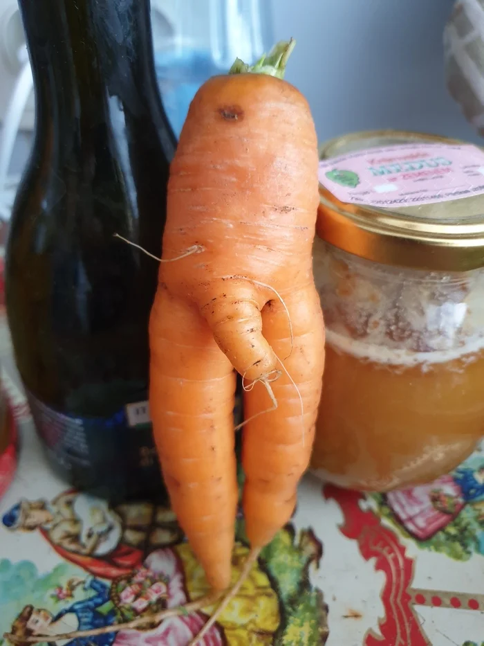 Immodest carrot - My, Carrot, Garden, Vegetables, Vegetable growing, Gardening, Pareidolia, Longpost