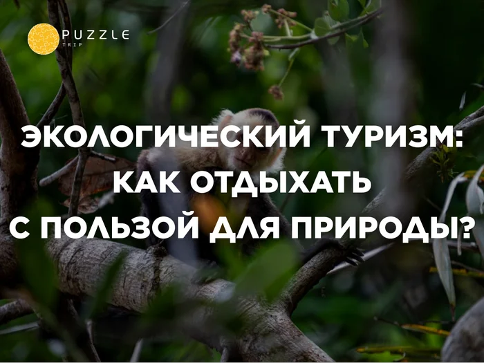 Экологический туризм: как отдыхать с пользой для природы? - Туристы, Туризм, Поездка, Путешествия, Горный туризм, Экология, Пляж, Лето, Россия, Байкал, Отдых на природе, Скалы, Камчатка