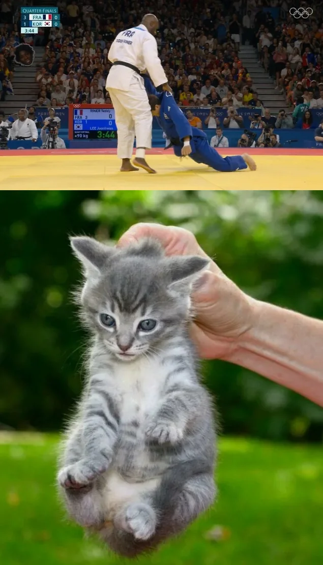 Once upon a time at the Olympics! - Paris, Sport