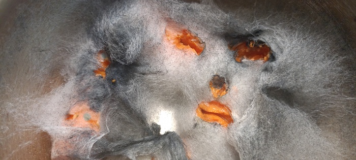 �� ���� ��������� � ����� ����������� ��� ���������. ���� ������� �����, � � ����� � "�������". ������ ����� ��������. *"���� �������� ��� ����.......