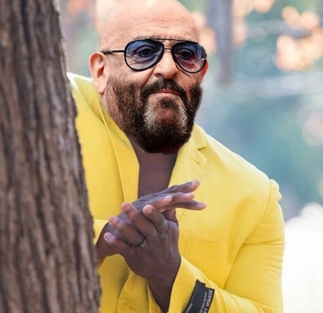 Кусты рябин