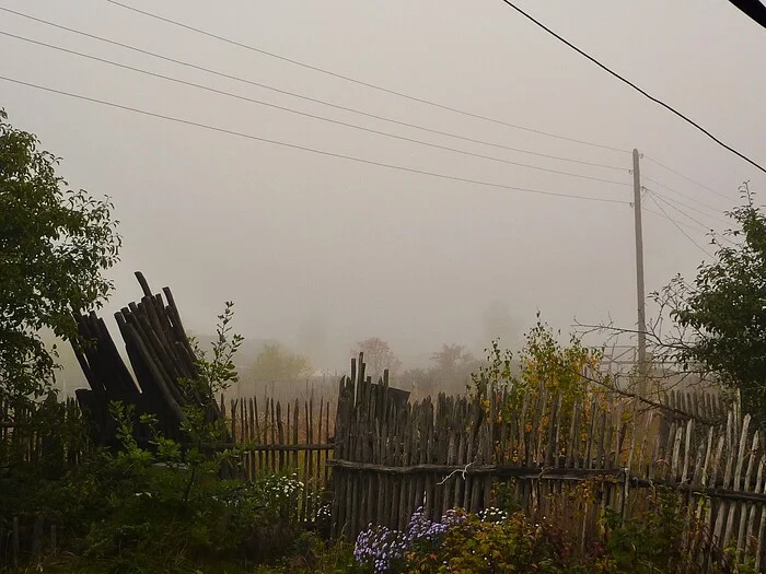 Foggy morning - My, The photo, Walk, Landscape, Nature, Village, Fog, dawn