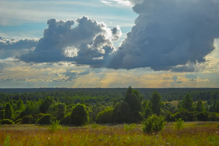 Clouds - My, The photo, Forest, Canon 1300d, Beginning photographer, Images, Clouds, Sky