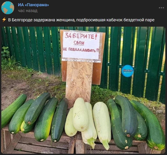 Harvest - Harvest, Zucchini, IA Panorama, Humor, Repeat