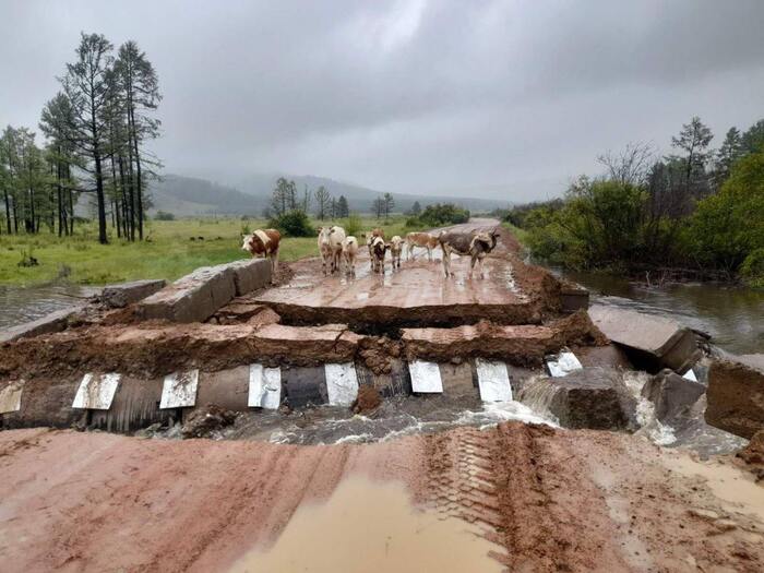 With the floods in Buryatia, everything is confused and bridges and roads are collapsing - Eco-city, Ecology, State Duma, Bill, Video, Vertical video, Longpost, Politics