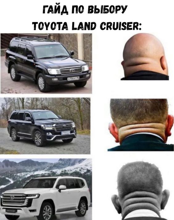    "" , , ,   , Toyota Land Cruiser