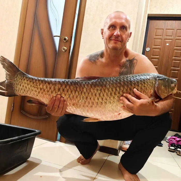 An ordinary worker from the Volgograd region managed to catch a trophy - My, Fishing, Fishermen, Hunting and fishing, Volgograd, Volgograd region