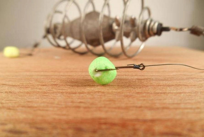 ����� ������ �� ���������