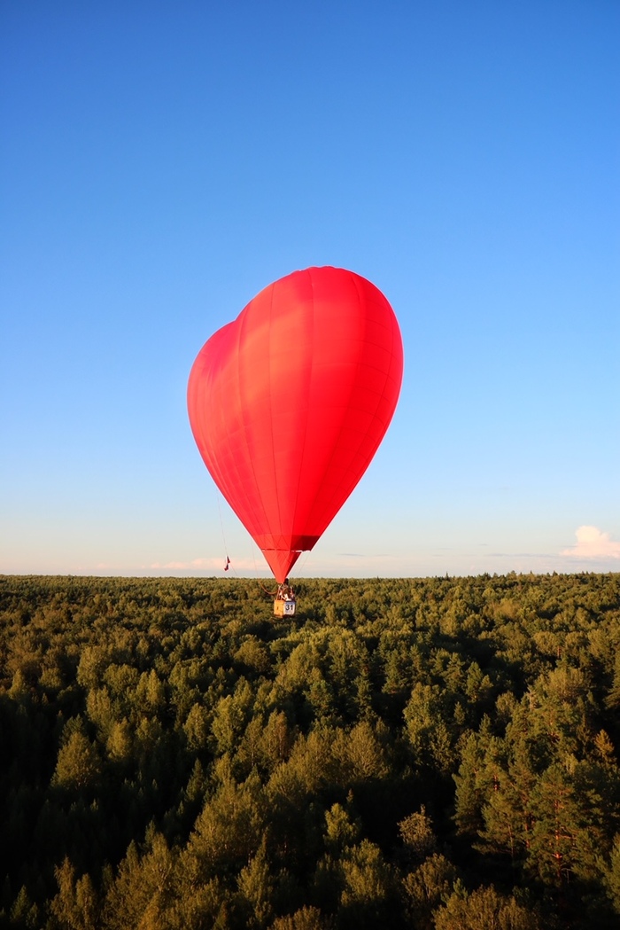 ������, ����������-���������