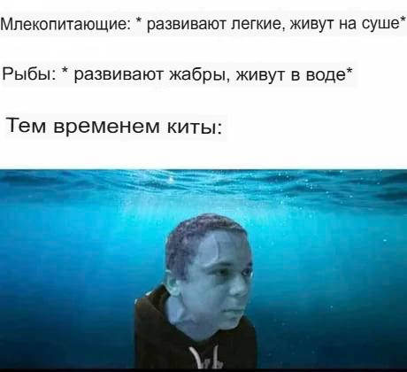 �� �����������