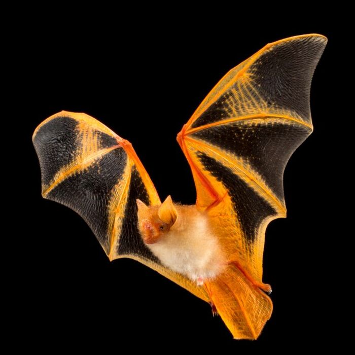     , ,  ,  ,   ,  , 