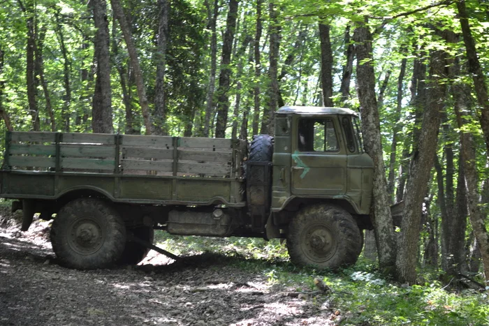 Half past four - My, Crimea, Forest, Road accident