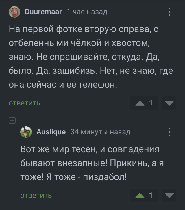 ��� �����