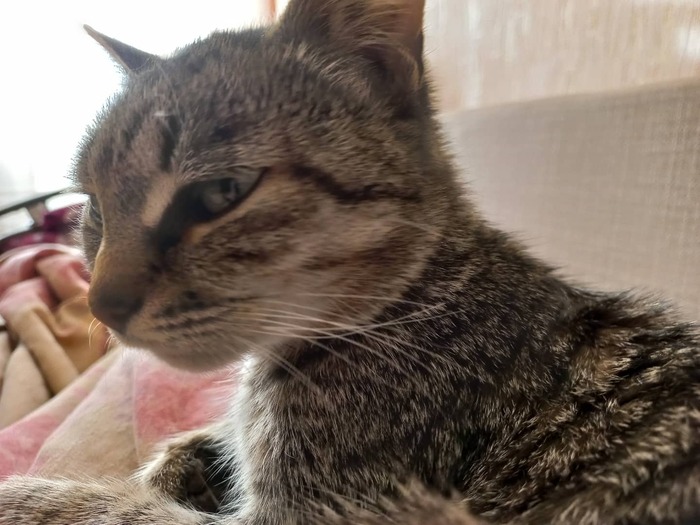 Осуждает мою безграмотность