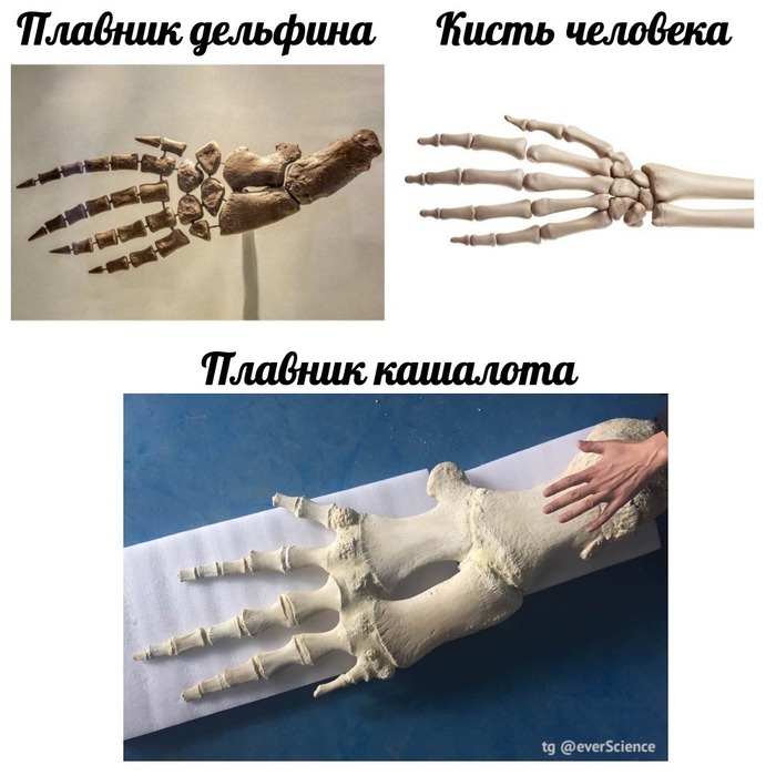   ,  , , , ,   