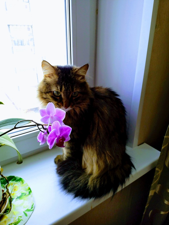 ��� ������� �������.