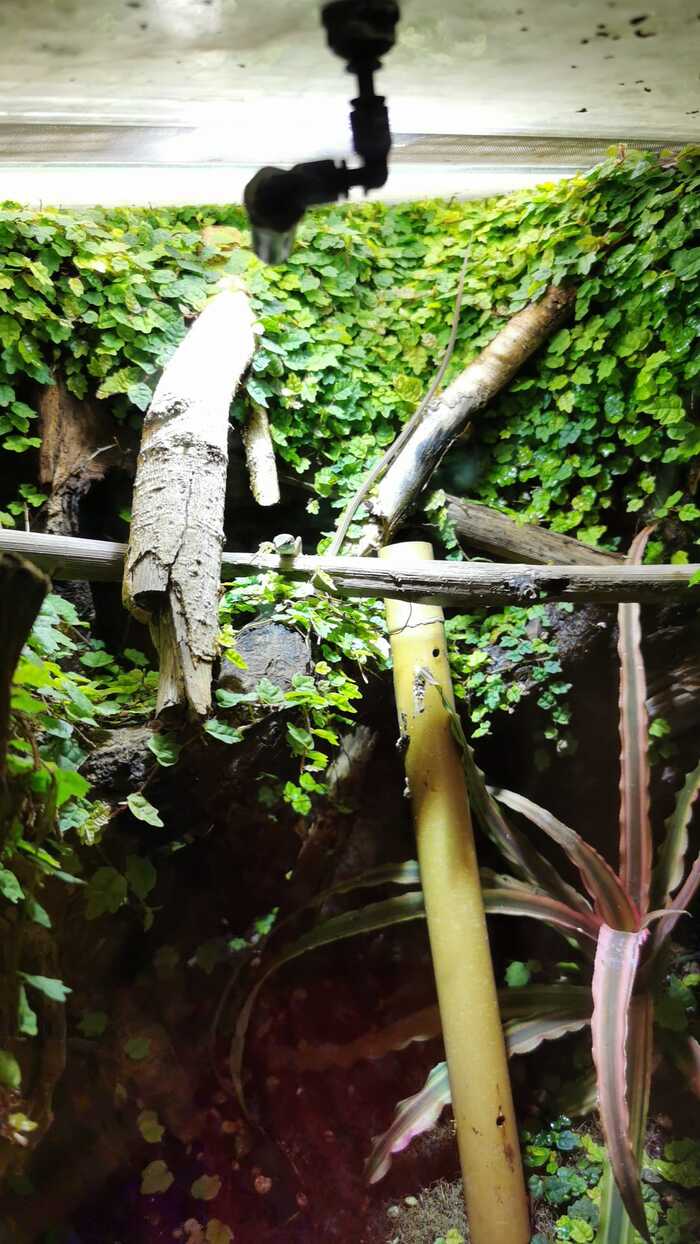 � � ���� �� ����� ������� 😁