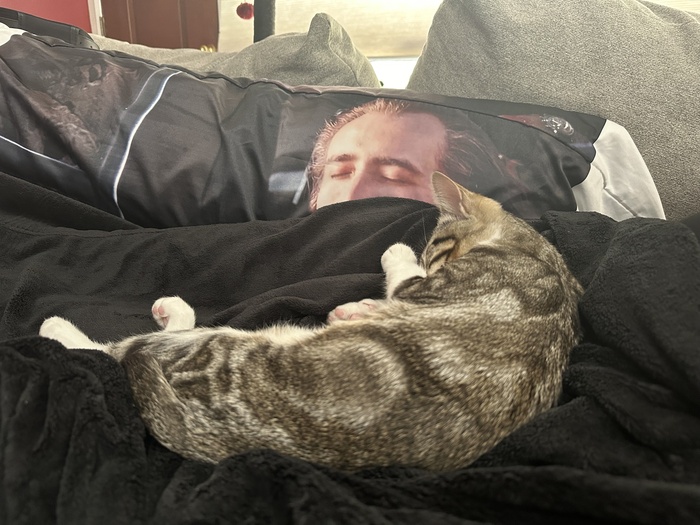 Даже коту с ним спокойней