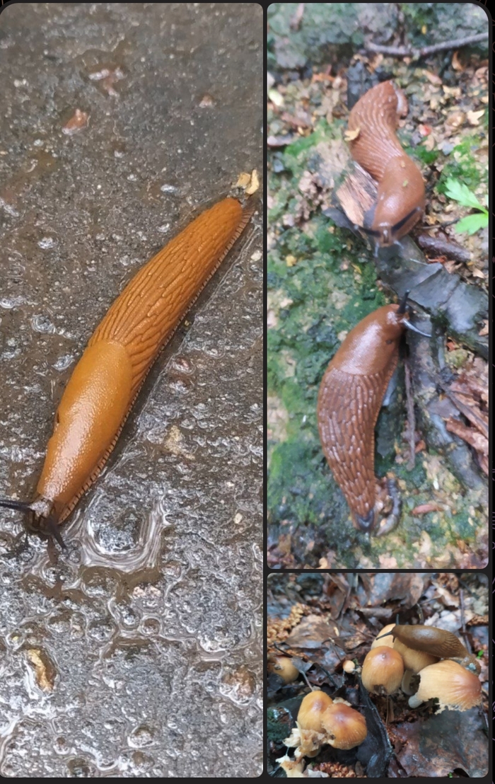 Фото из районного телеграмм-канала