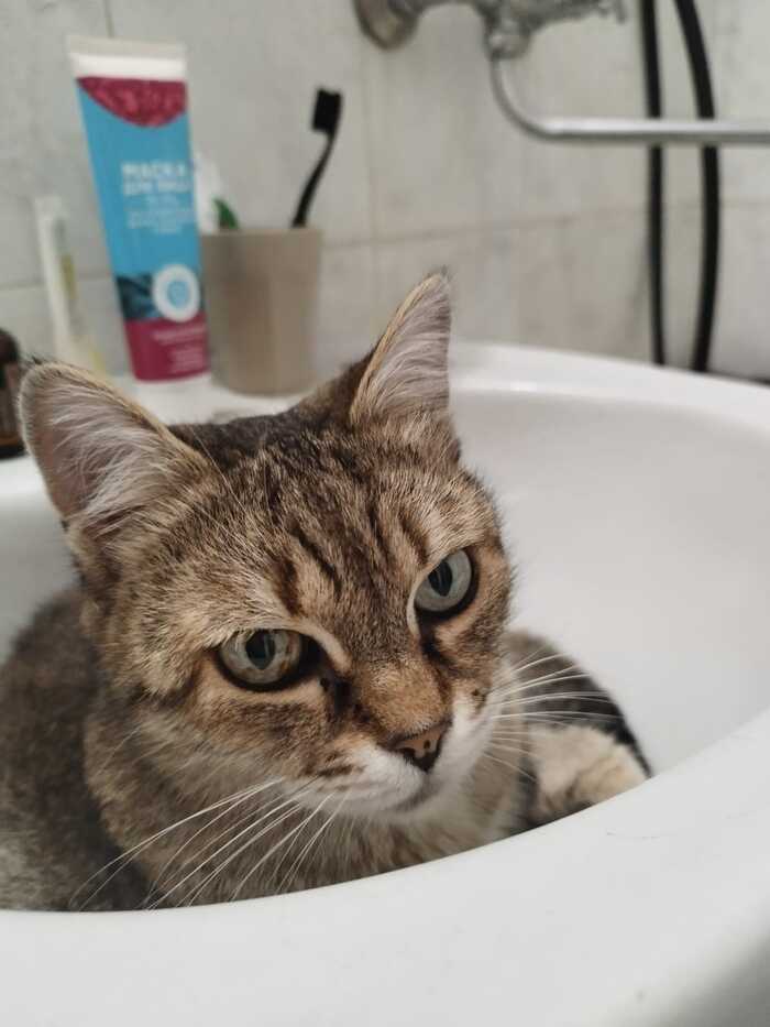 ��� ����� ��������� �� ����