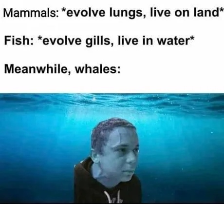  , , , 