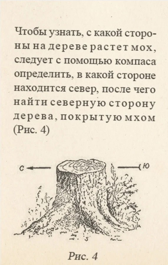 В какой стороне... - Из сети, Текст, Учебник, Страницы, Мох, Компас