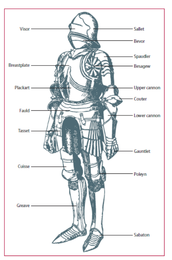 Medieval wounds. Death of Two Kings, Survivor's Fallacy and Survival - My, Military history, Archeology, Crusaders, Middle Ages, Skeleton, The medicine, Mat, Longpost