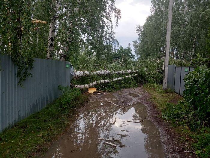 Последствие сильного ветра в СНТ - Моё, Садоводство, Посевы, Теплица, Длиннопост