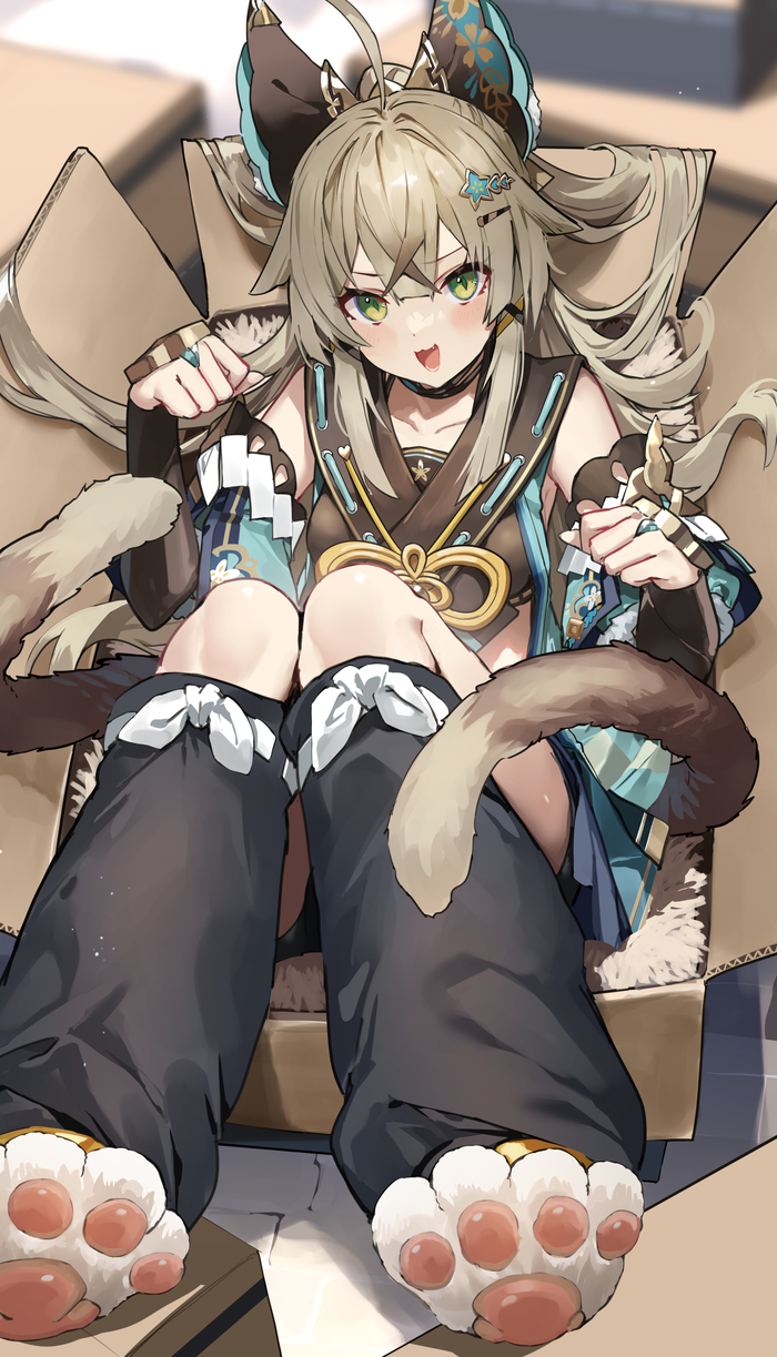 Спальное место для кисы