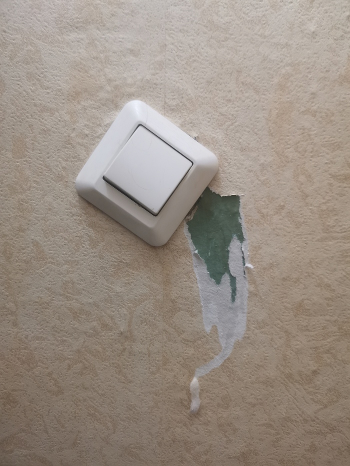 Люблю котов