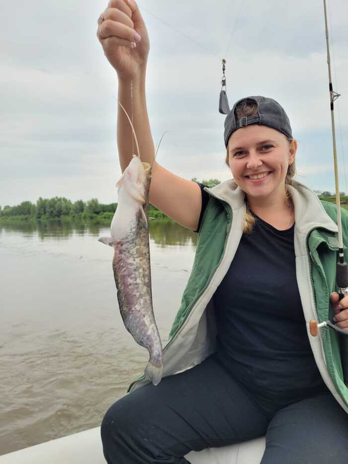 I caught the catfish myself. Ural River - My, Fishing, Catfish, Ural river, Orenburg region, I share my joy