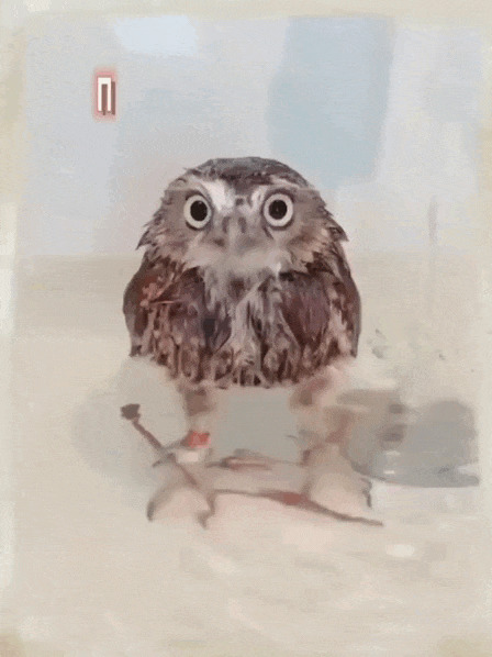        , , , , 