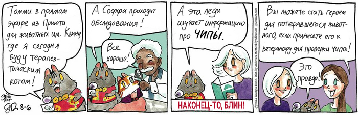 Котейкины Новости от 06.08.2024