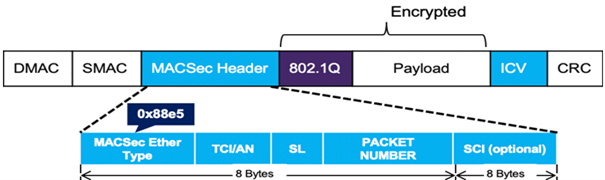 What is MTU? Ethernet frame and IP packet size - My, Sysadmin, Computer Networks, IT, Host, Router, Ip, Protocol, Networks, Connection, Telecom, Data, System administration, Engineer, Lesson, Education, Youtube, Education, Video, Ethernet, Frame, Longpost