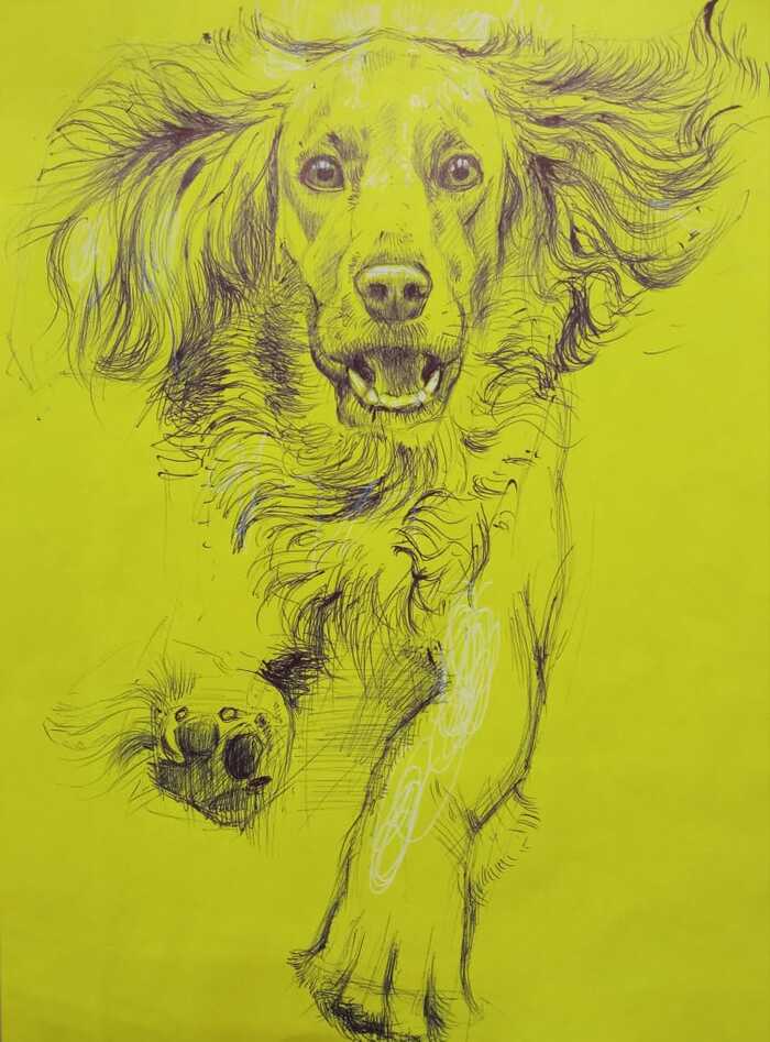 Drawing at work - My, Drawing, Graphics, Creation, Sketch, Pen drawing, Dog, Animals