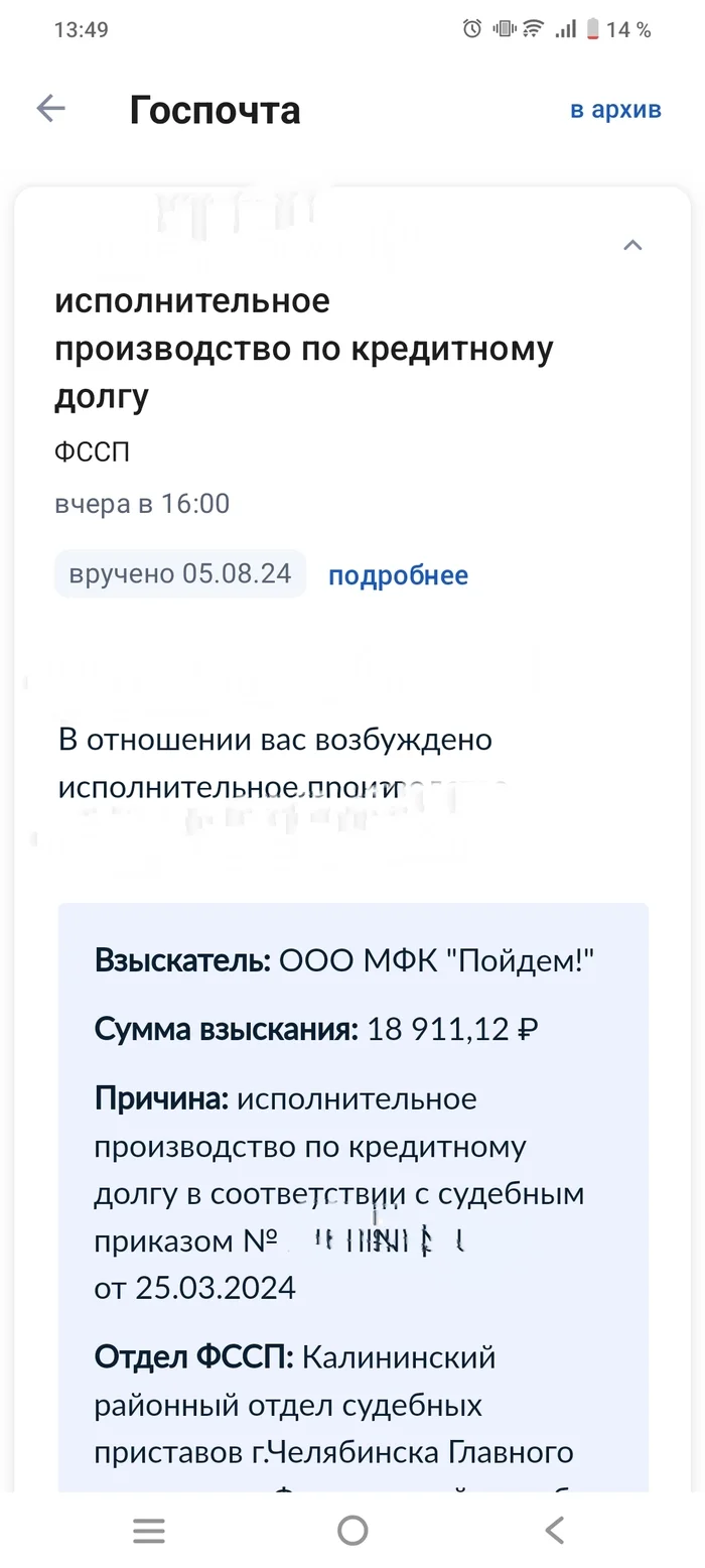Someone else's debt, someone else's individual entrepreneur, my government services - Bailiffs, Duty, Public services, Longpost