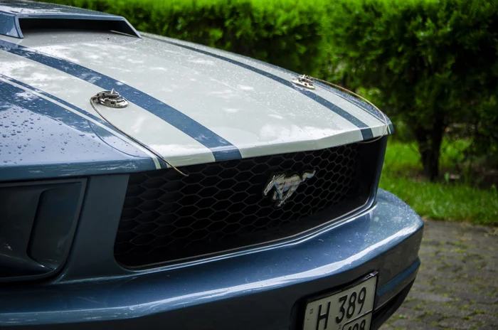 Ford Mustang in rare Windveil Blue - Ford mustang, Auto, Transport, Tuning, Muscle car, Ford, Longpost